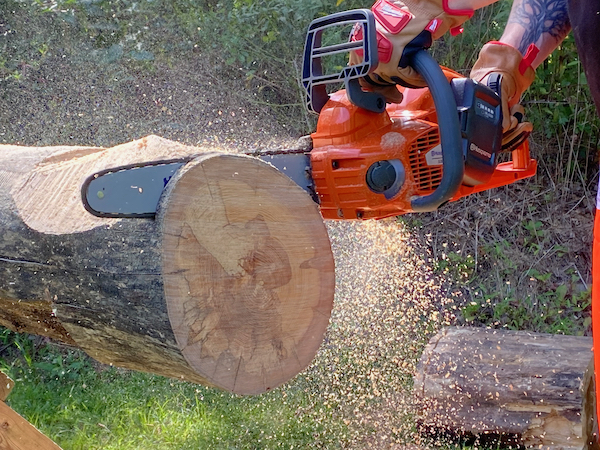 Best Cordless Chainsaw Head-to-Head - Tool Box Buzz Tool Box Buzz